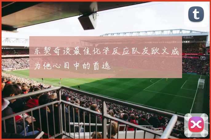 东契奇谈最佳化学反应队友欧文成为他心目中的首选